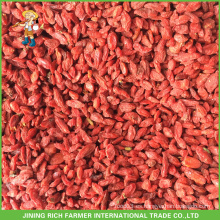 Comprar bayas secas de Goji de la granja